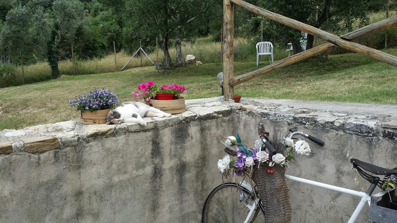B&B Le Torri Di Firenze Φιέζολε Εξωτερικό φωτογραφία
