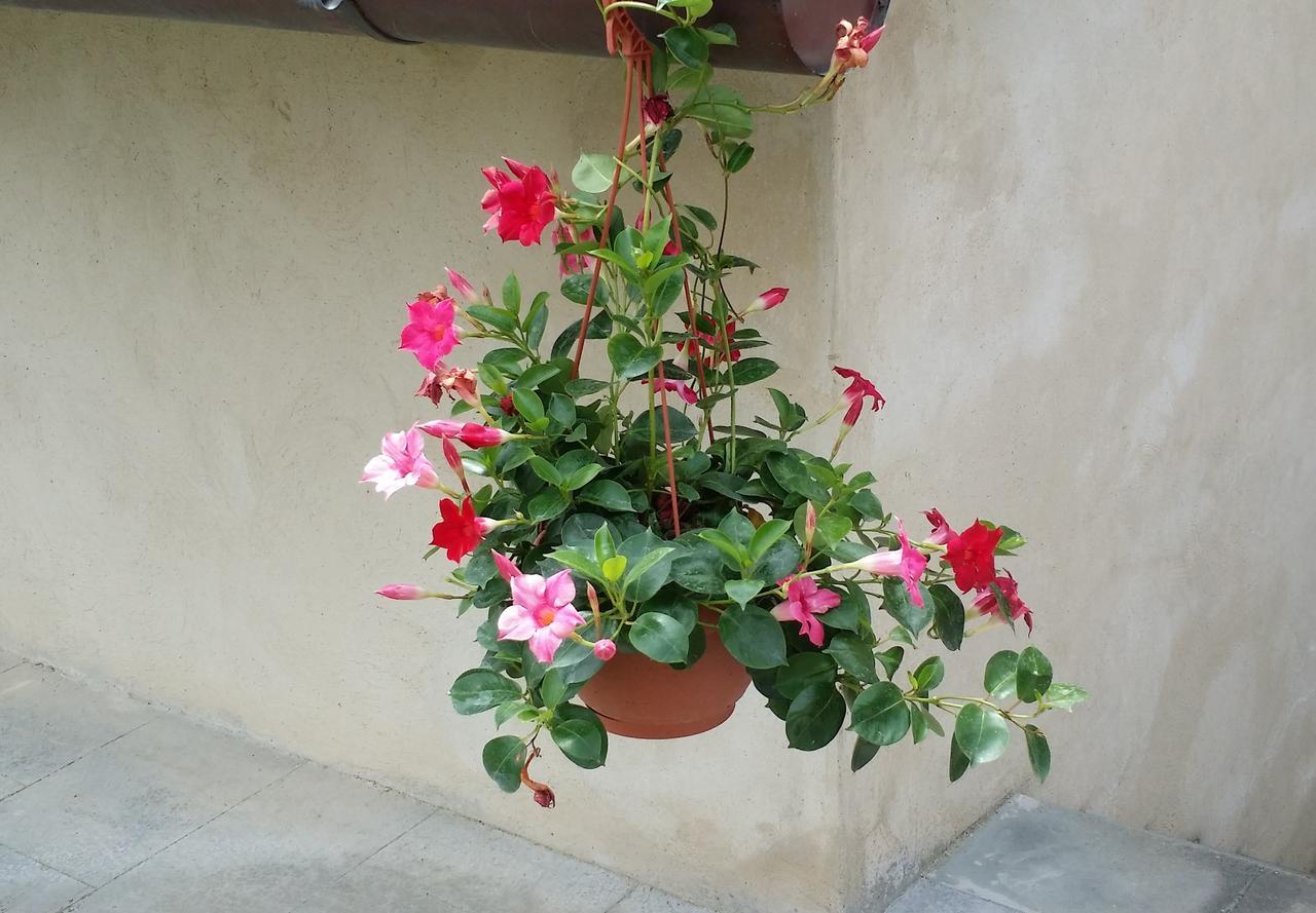 B&B Le Torri Di Firenze Φιέζολε Εξωτερικό φωτογραφία