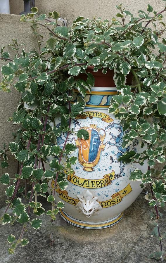 B&B Le Torri Di Firenze Φιέζολε Εξωτερικό φωτογραφία